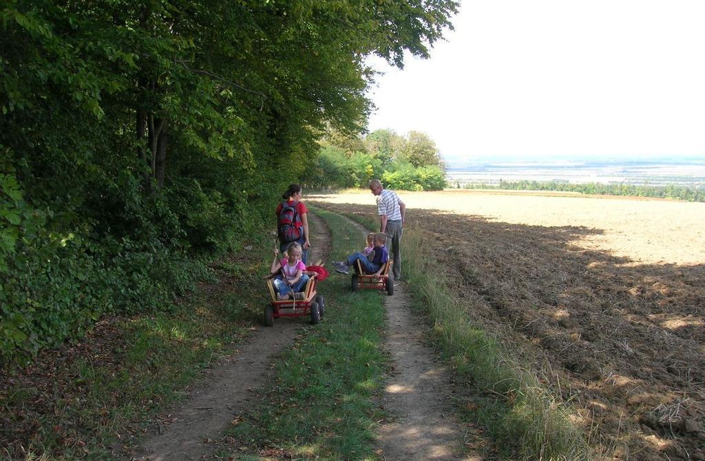 Weinbauernhof Vier Jahreszeiten Staatz エクステリア 写真