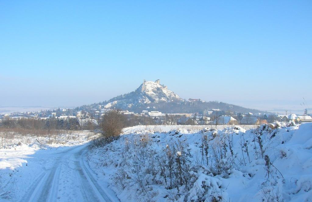 Weinbauernhof Vier Jahreszeiten Staatz エクステリア 写真